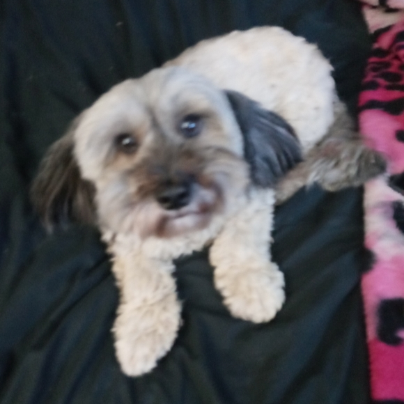 Meet your Posher, Sabrina M - Picture 1 of 1